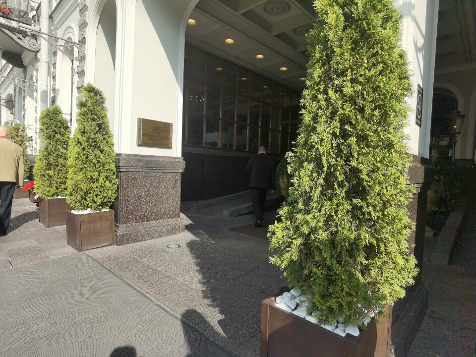 Гостиница Гранд Отель Мойка 22 Санкт-Петербург-110