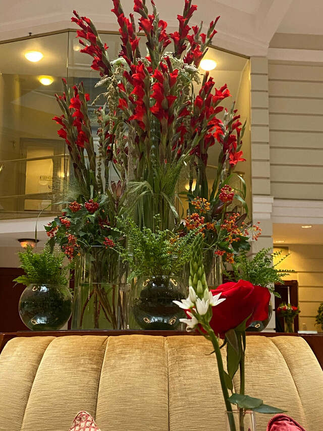 Гостиница Гранд Отель Мойка 22 Санкт-Петербург-53